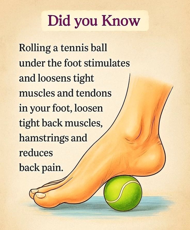 @FactExplorer tweet media