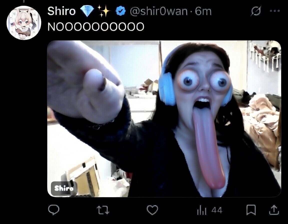 CodyCatVT 😹🔫 | LuckyEN🍀| tweet media