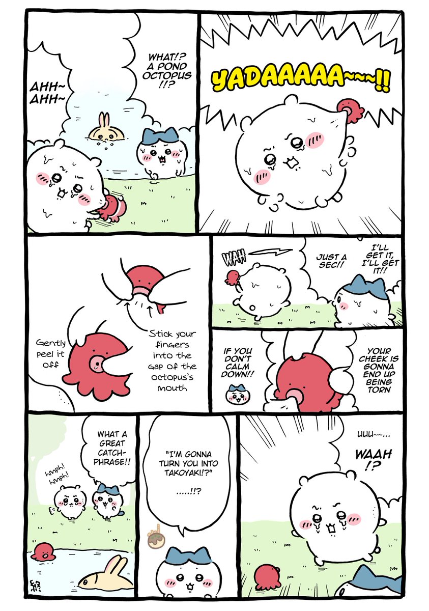 Fan Scans of Chiikawa (English) tweet media