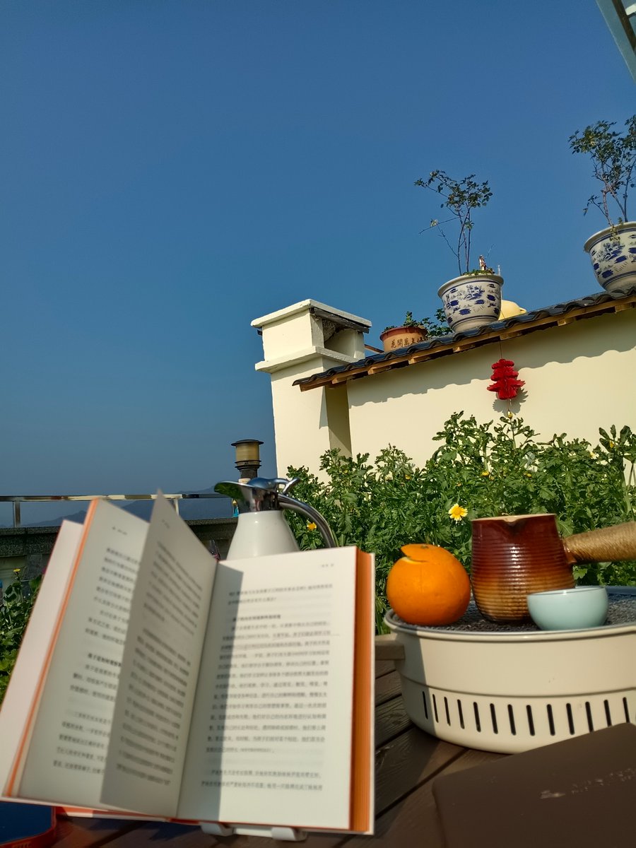 RarniiScherer tweet media