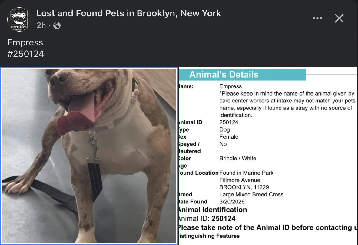 Tootsismyname🏴☠️ tweet media