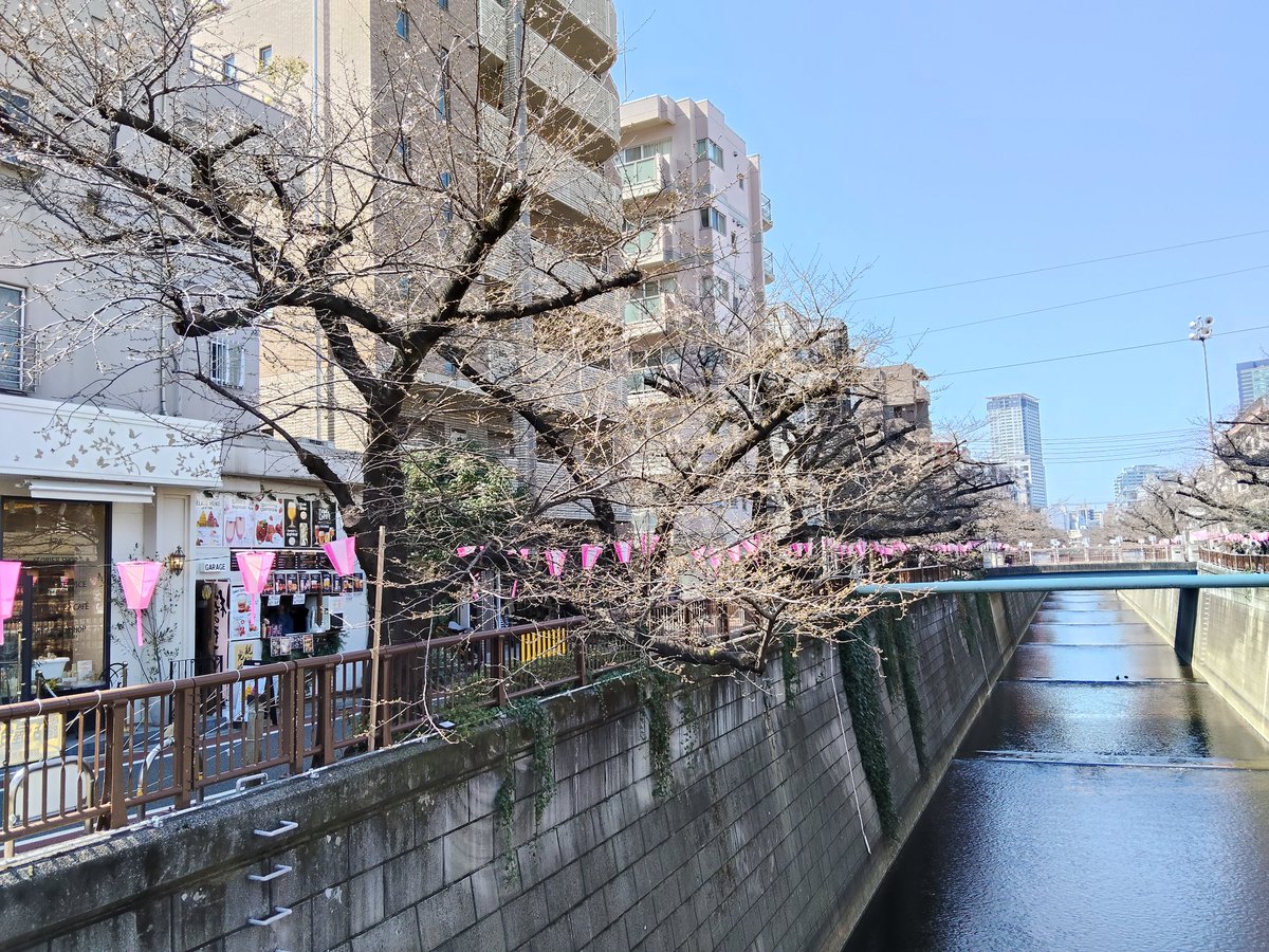 Fournil63's tweet photo. 駅のほうもまだ咲いてないけど人はいっぱいです。 https://t.co/j2ldv1bhlM