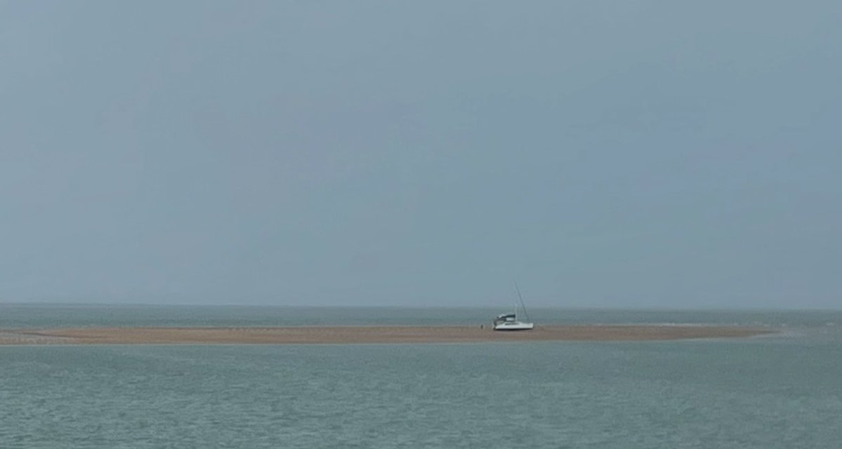 Matt Brann tweet media