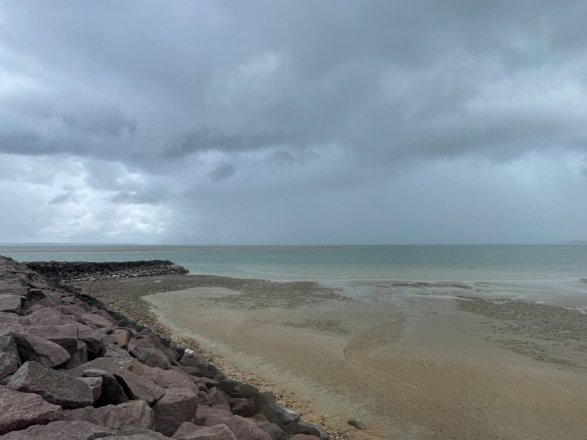 Matt Brann tweet media