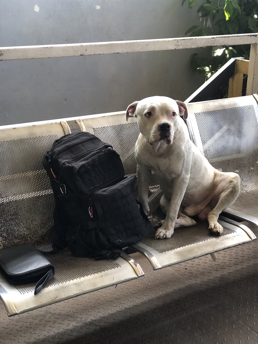 Manuel Avelino Da Silva tweet media