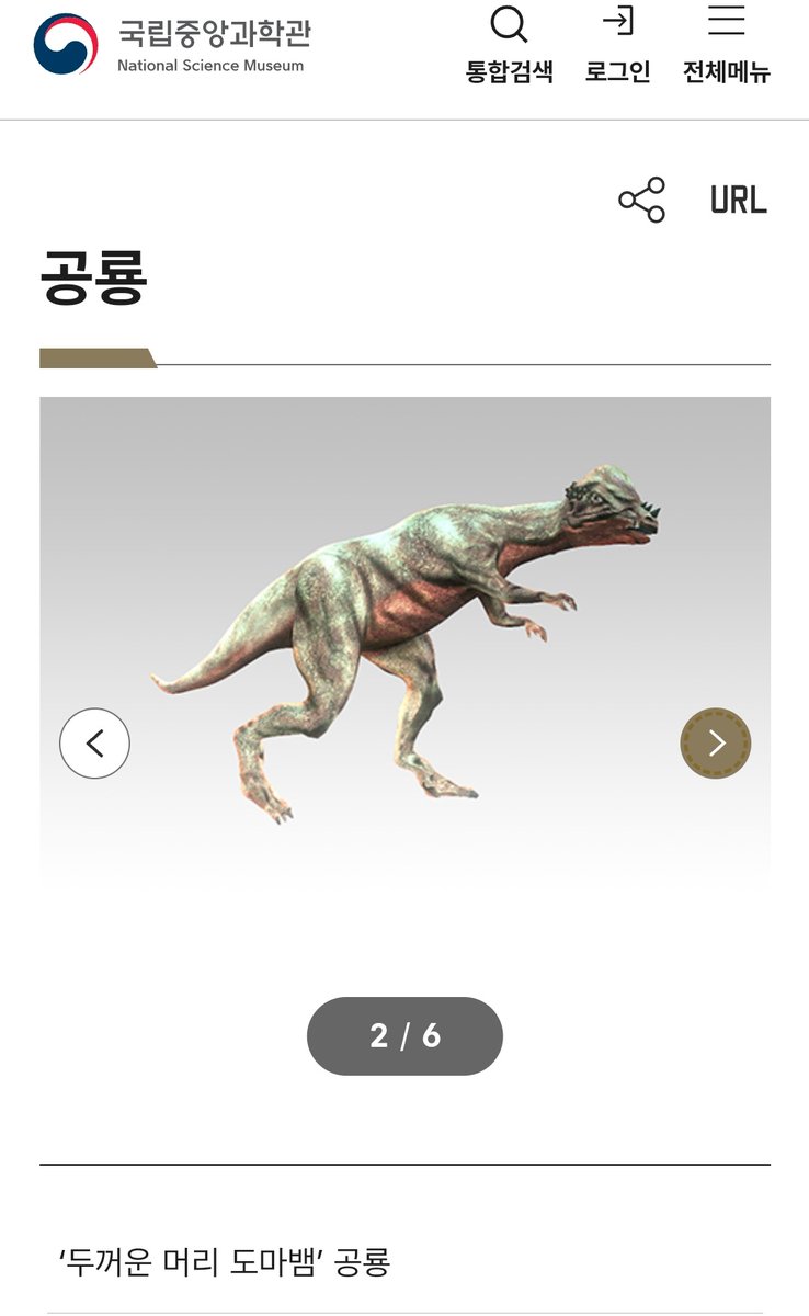 如月여월 tweet media