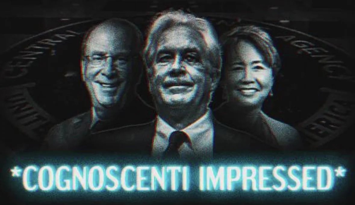 🌻 Yasha 🐝 tweet media