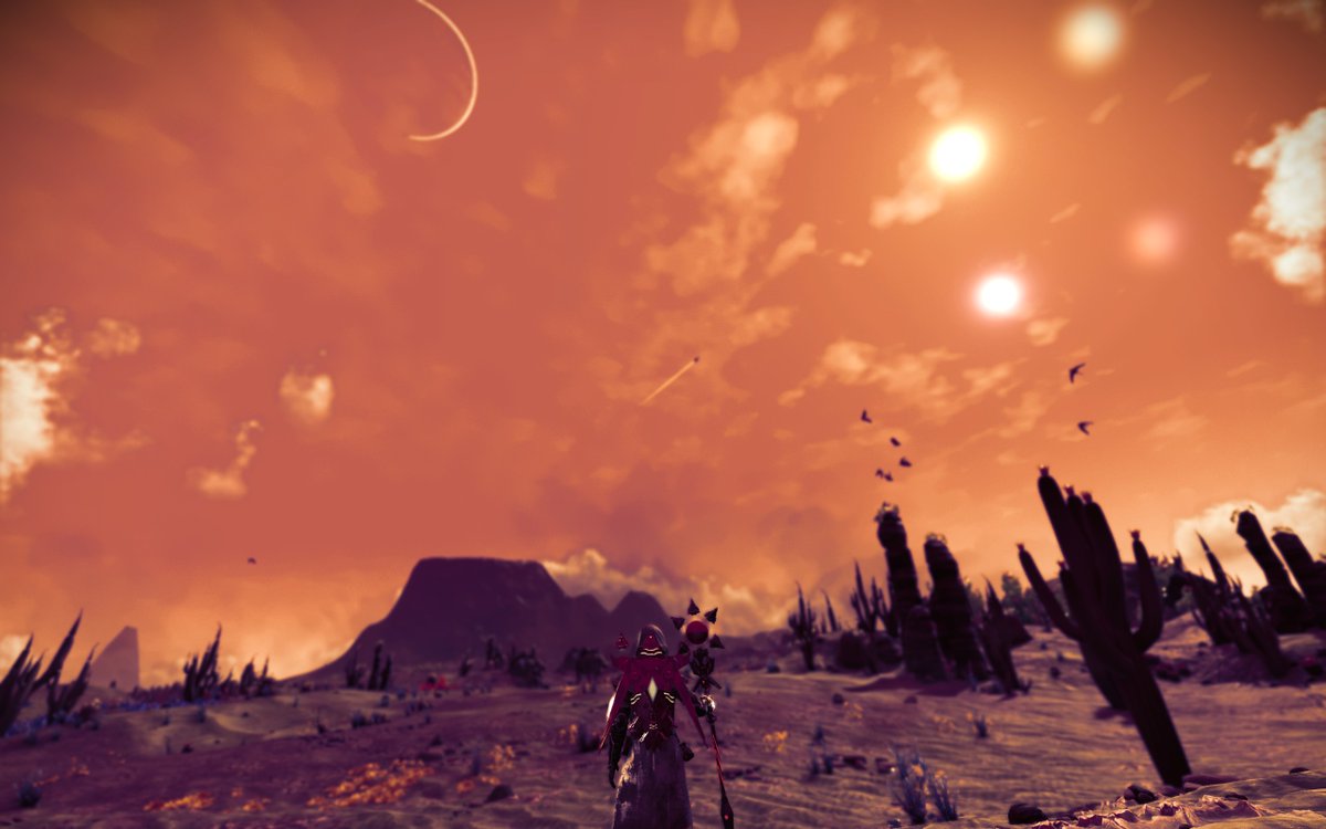 Richndstuff tweet media