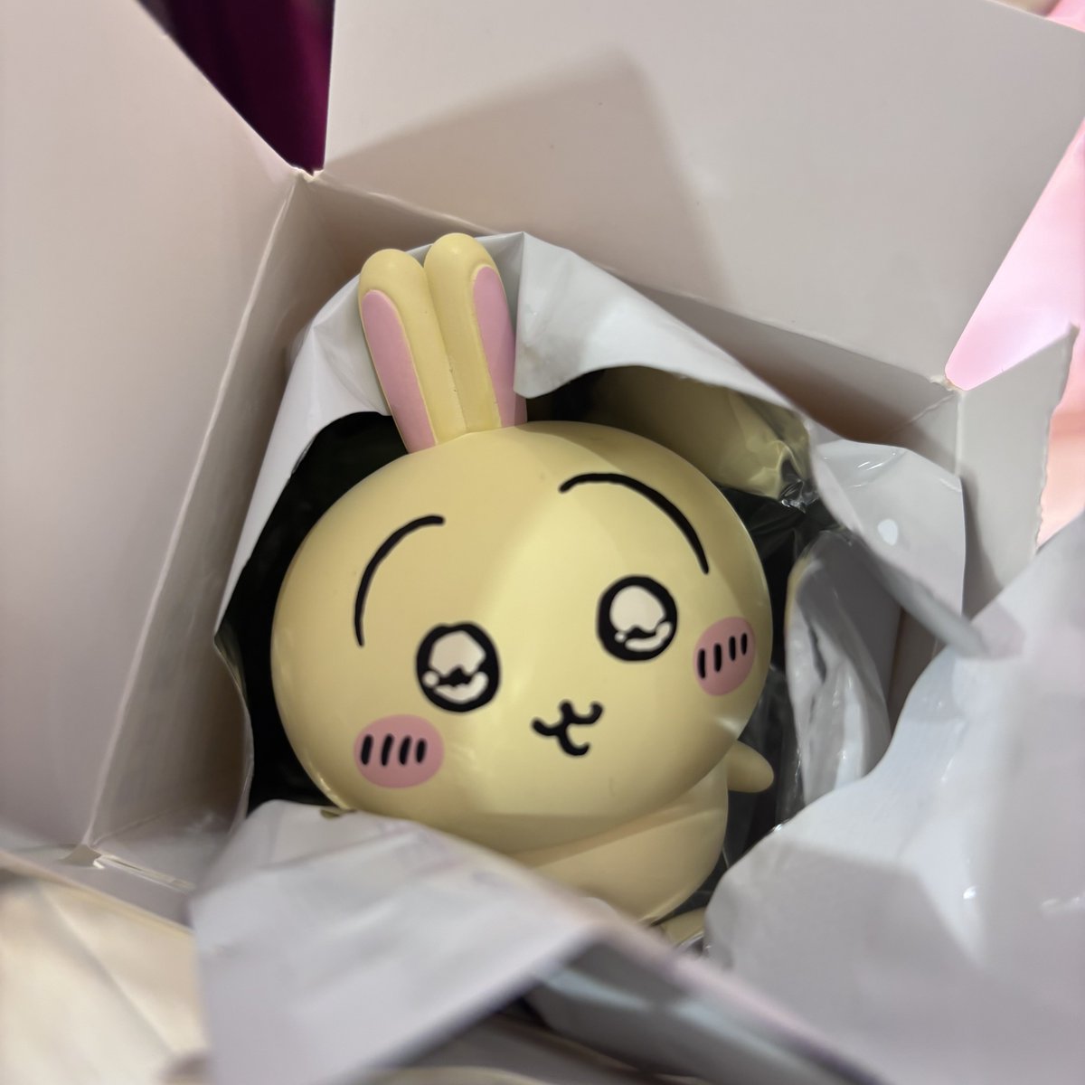 ゆーちゃん tweet media