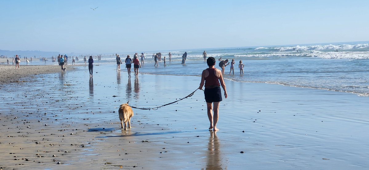 Charlie Meredith tweet media