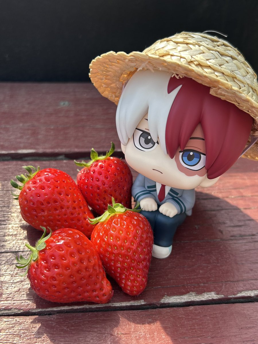 ↬❥ෆ⸒⸒ ゆめか ꒰ঌ♡ᩚ໒꒱ tweet media