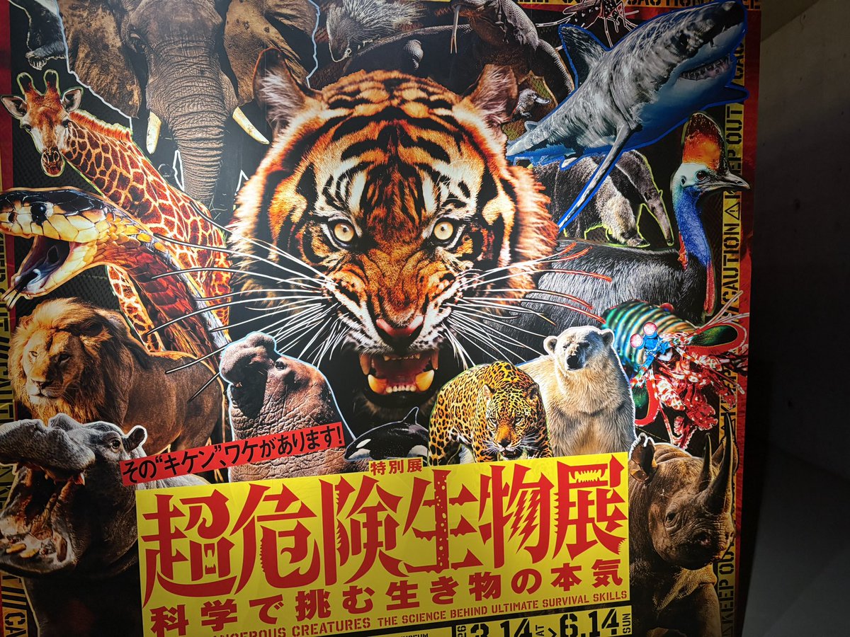 Ｅ～さぁ～♪ tweet media