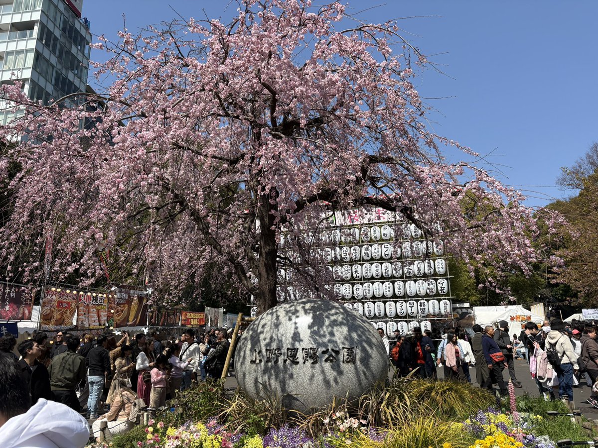 Ｅ～さぁ～♪ tweet media