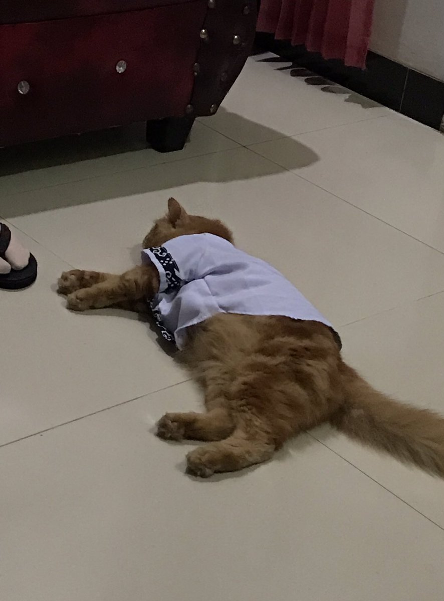 mimi | ia tweet media