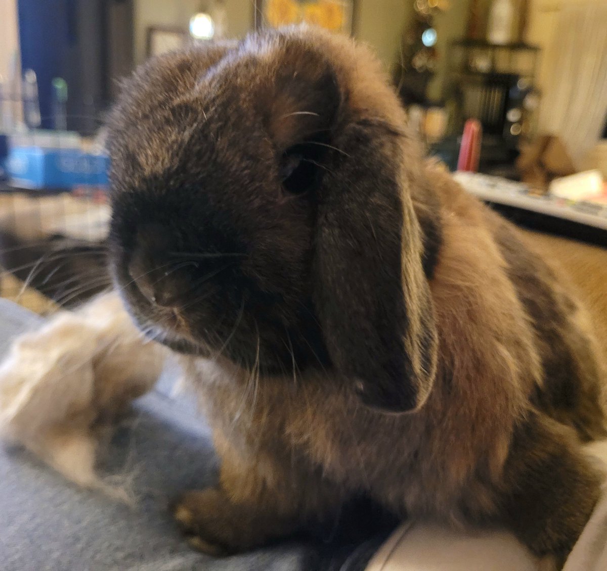 Kansas City Southern tweet media