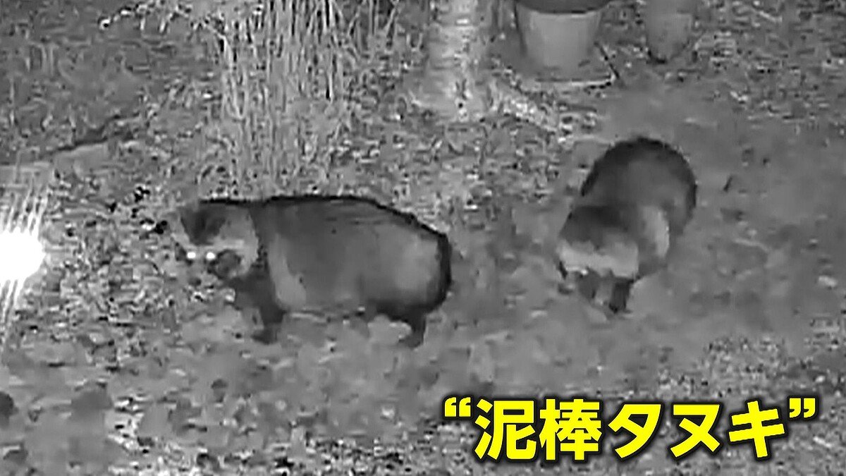 ライブドアニュース tweet media