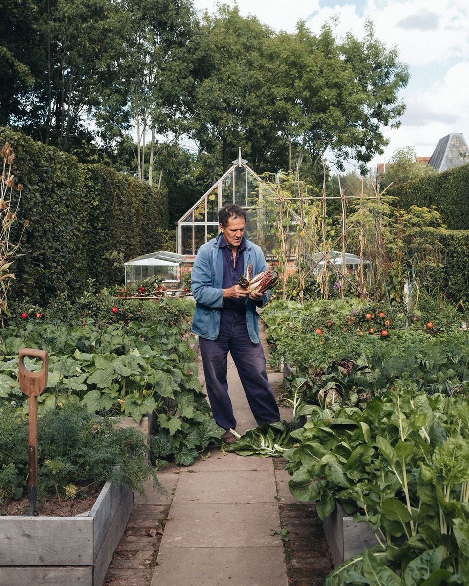 derek guy tweet media