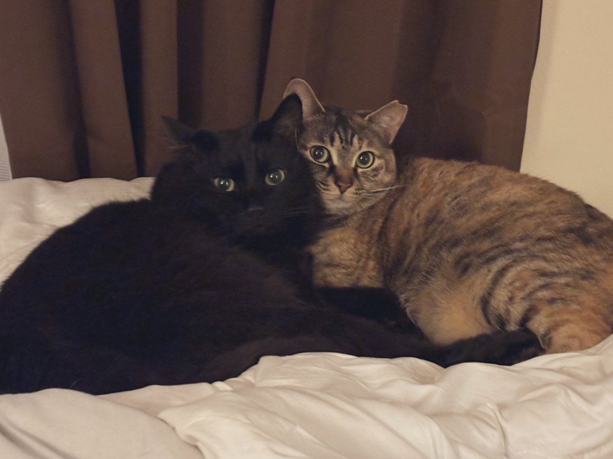 らてちゃ tweet media