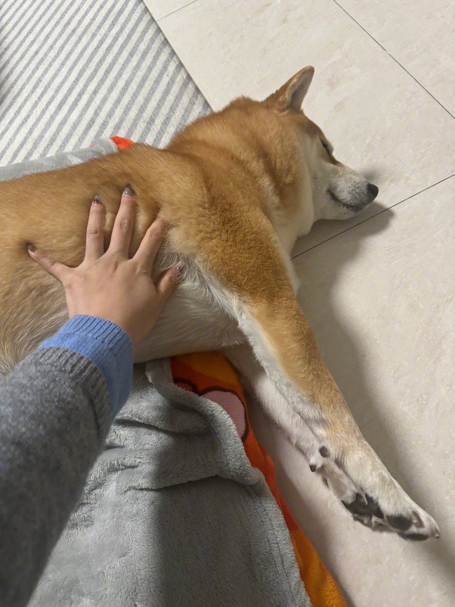 abo0ode909 tweet media