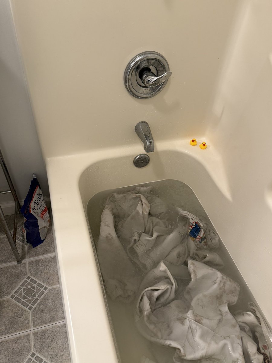 🌲 • Belle - Doe • 🦌 tweet media