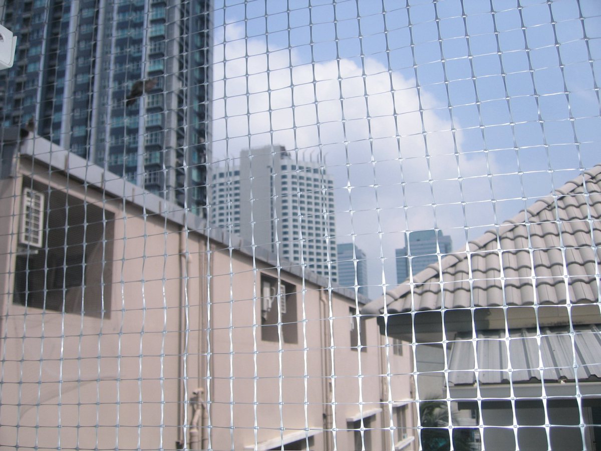 📸ploynita camera☁️กล้องดิจิตอล🍀 tweet media