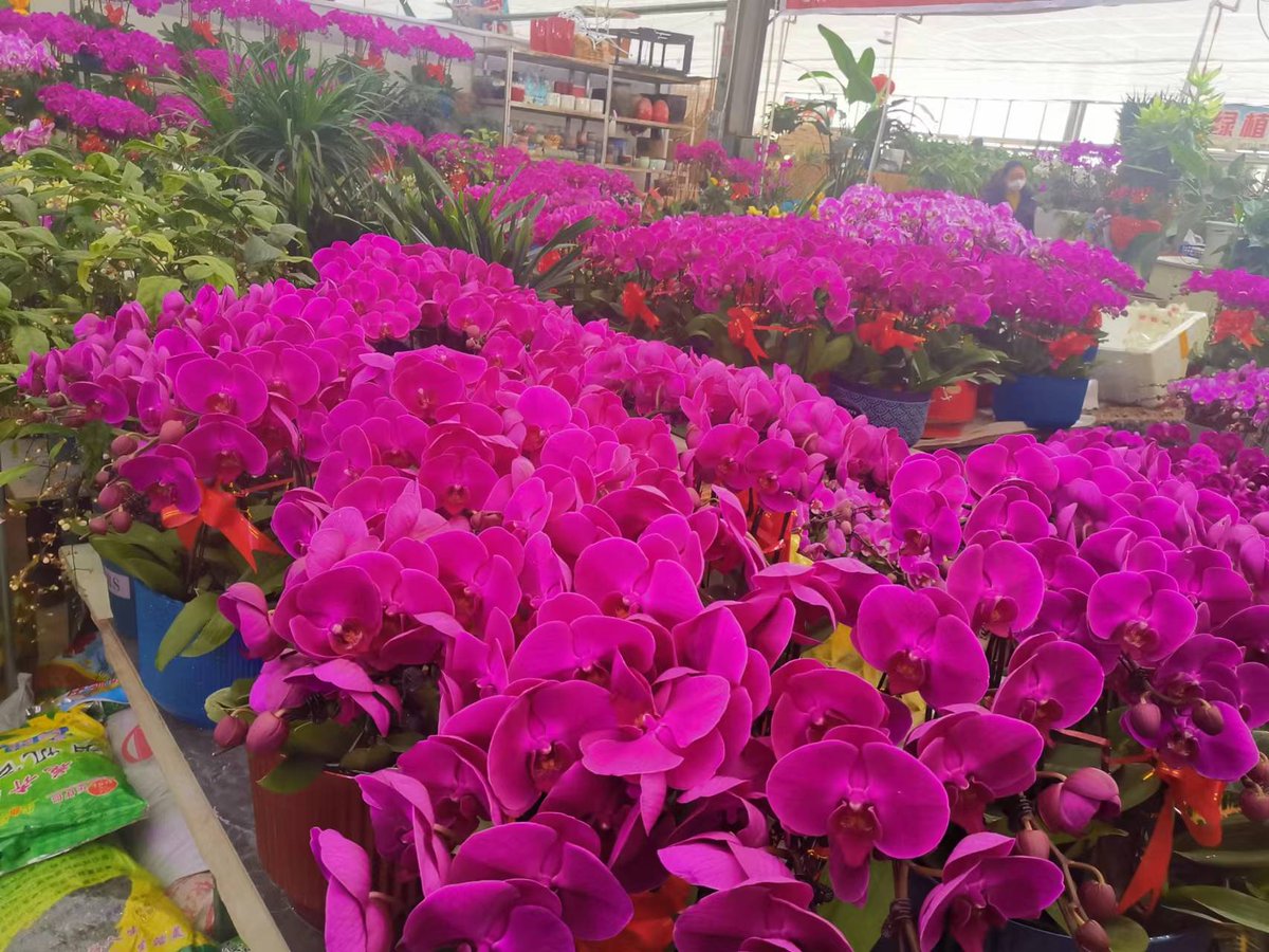 abraham lopez garcia tweet media