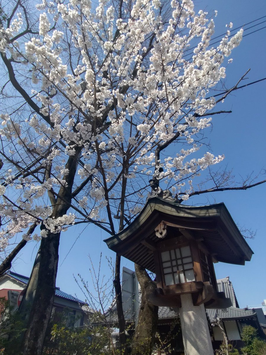 はる＊4/26 ぎふ清流ハーフマラソン tweet media