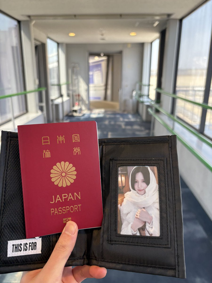 とと(みーたん命名)【キムチ部】@once tweet media