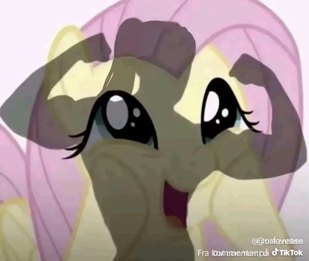 Salvatore Lodato tweet media