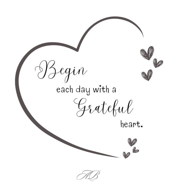 Karin Harmse tweet media