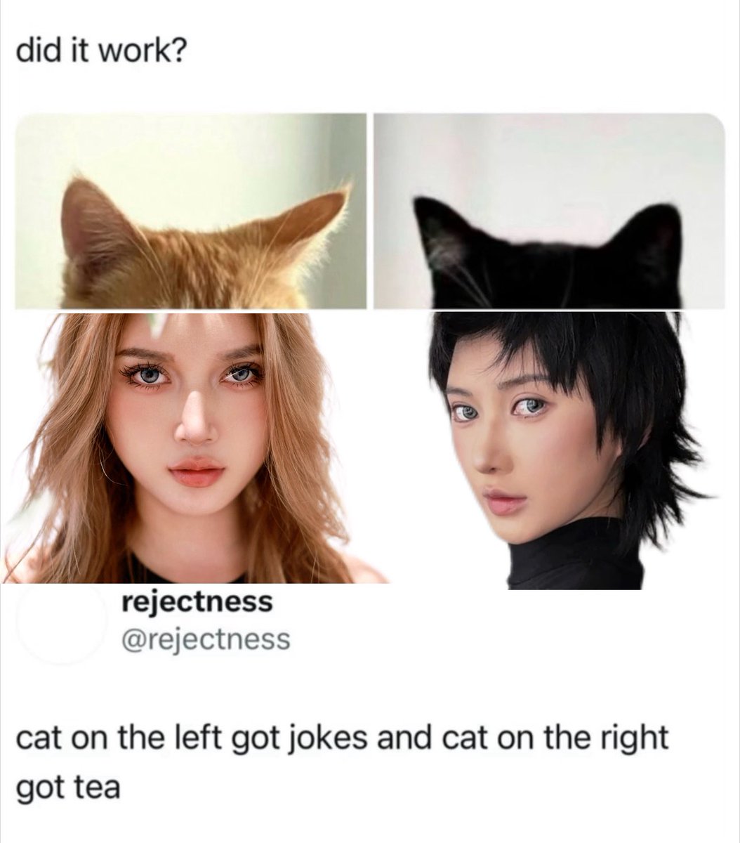 Realtracyyy's tweet photo. Which type of me do you prefer? https://t.co/hTtZ3e37rs