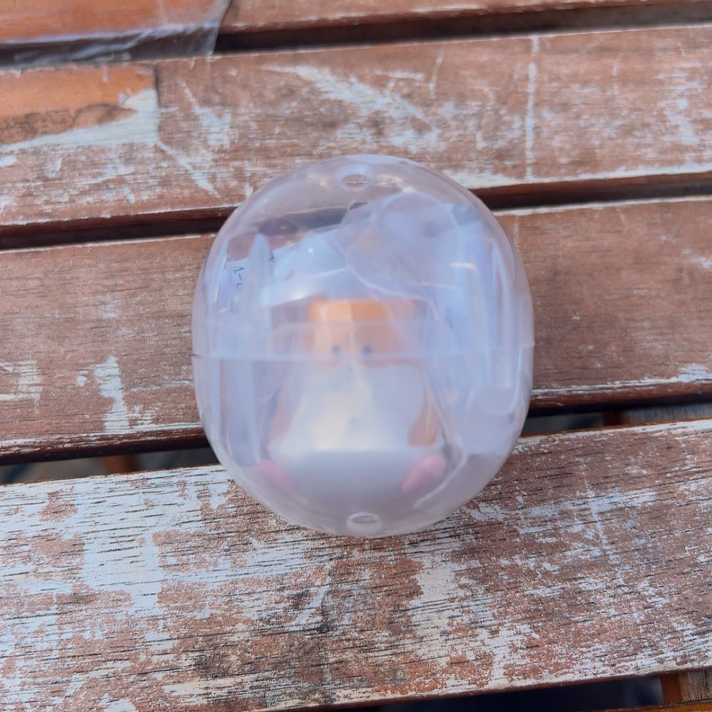 ぽぷ 取引専用垢 tweet media