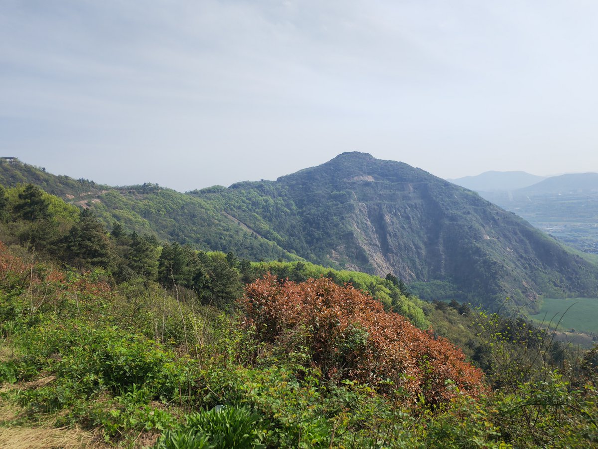 daniel spence tweet media