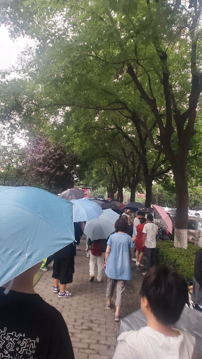 carla nicole bryant tweet media