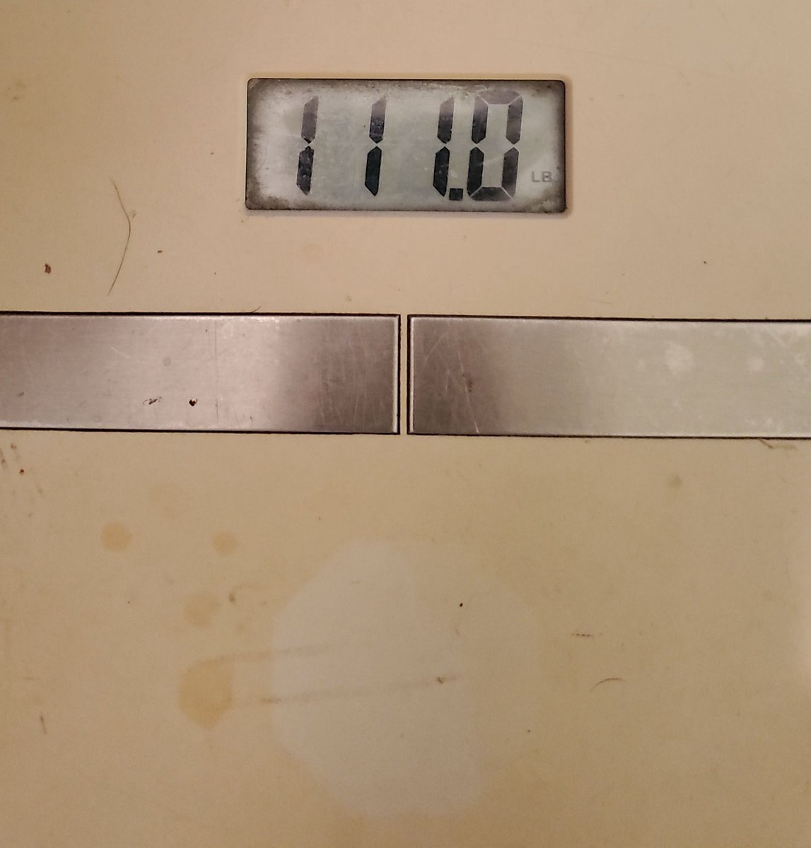 Gigi 棚 tweet media