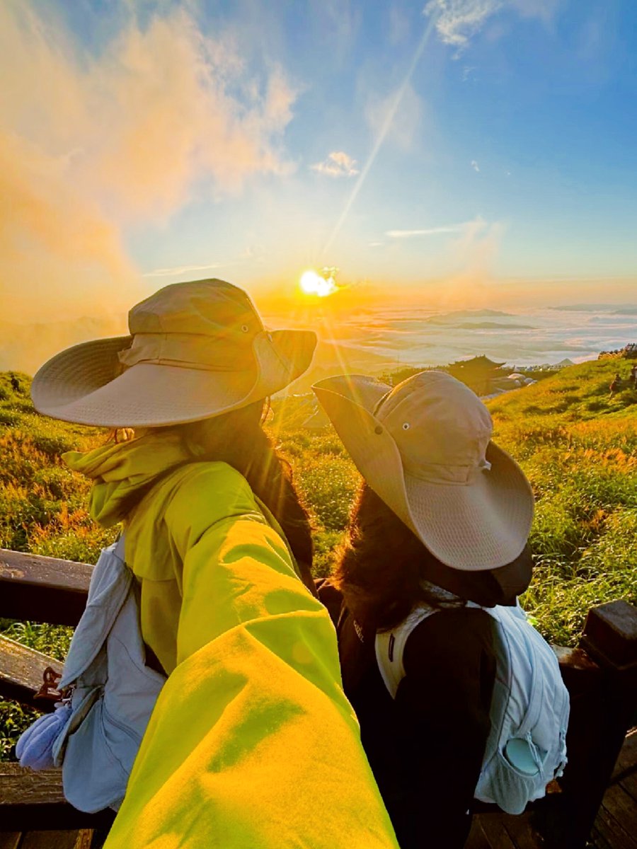 Matthew Grim tweet media