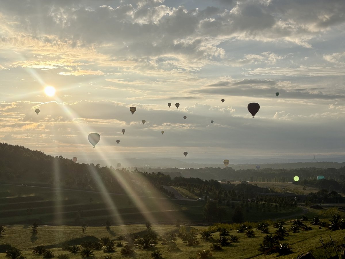 wombot 👀 tweet media