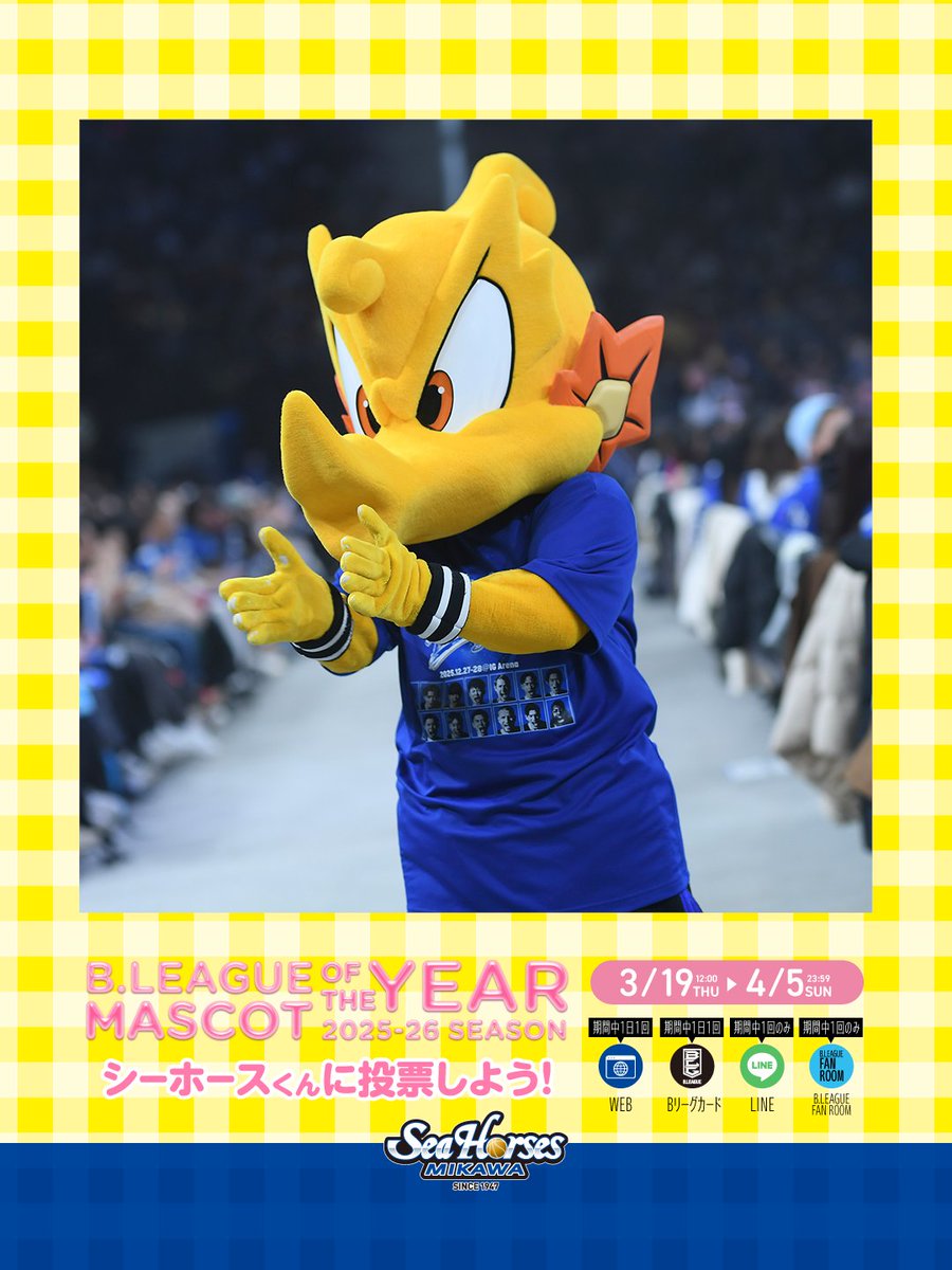 シーホース三河 tweet media