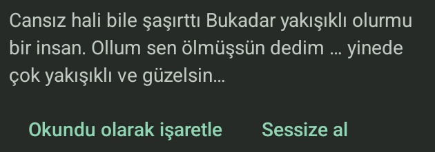 Şimdi ben ne diyeyim?
Yüreğimde bir taş
Ne sağa kıpırdıyor ne sola.