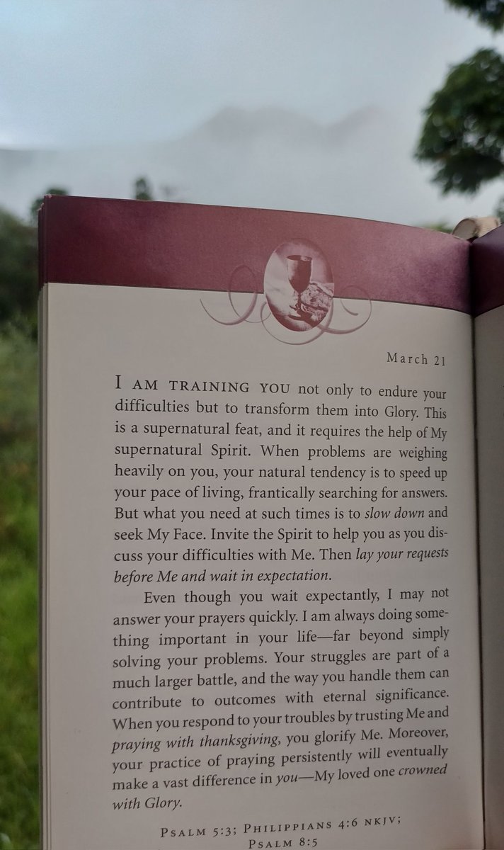 Monique van der KZN 🇿🇦 tweet media