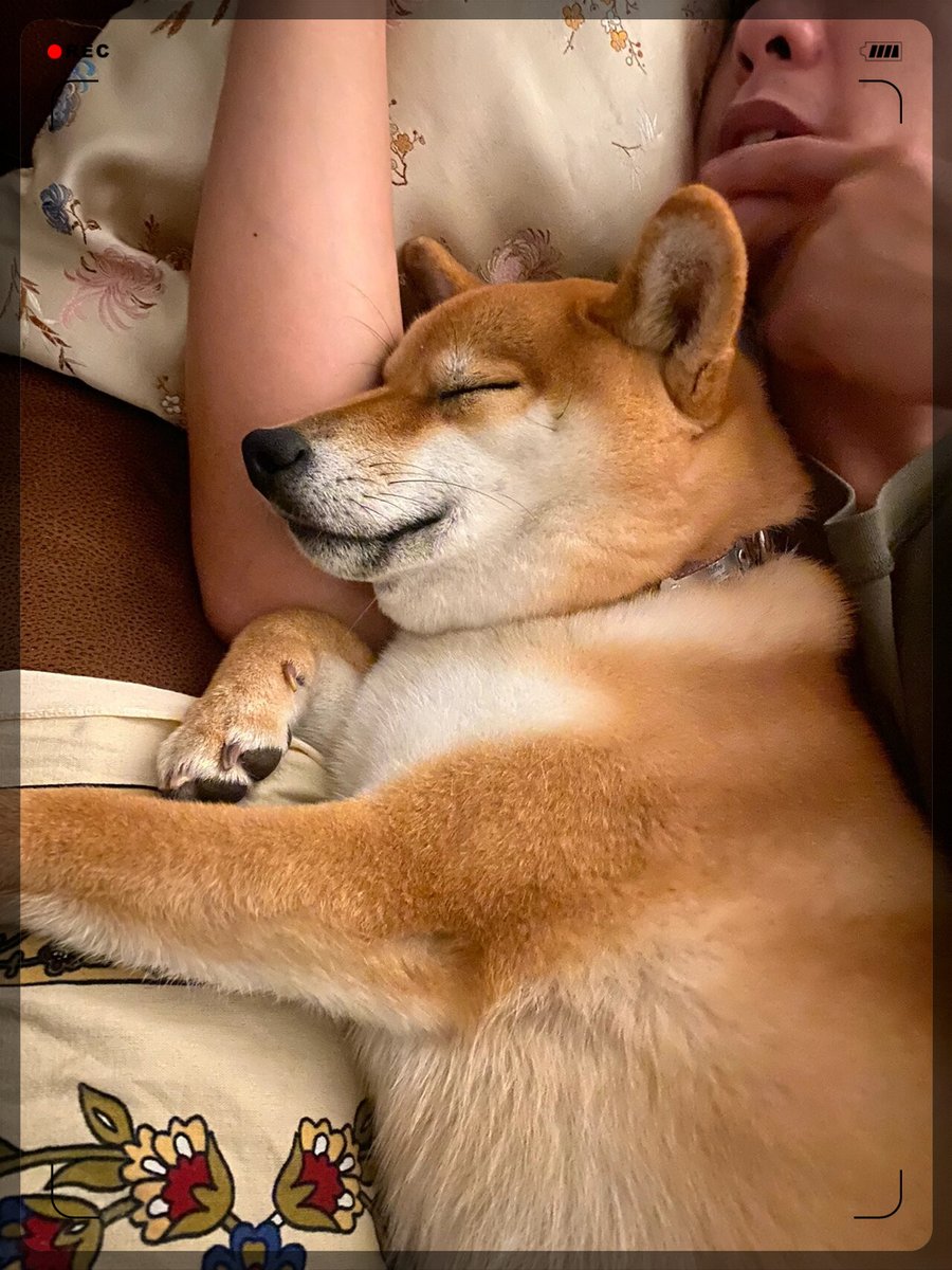 Pam Crossman tweet media