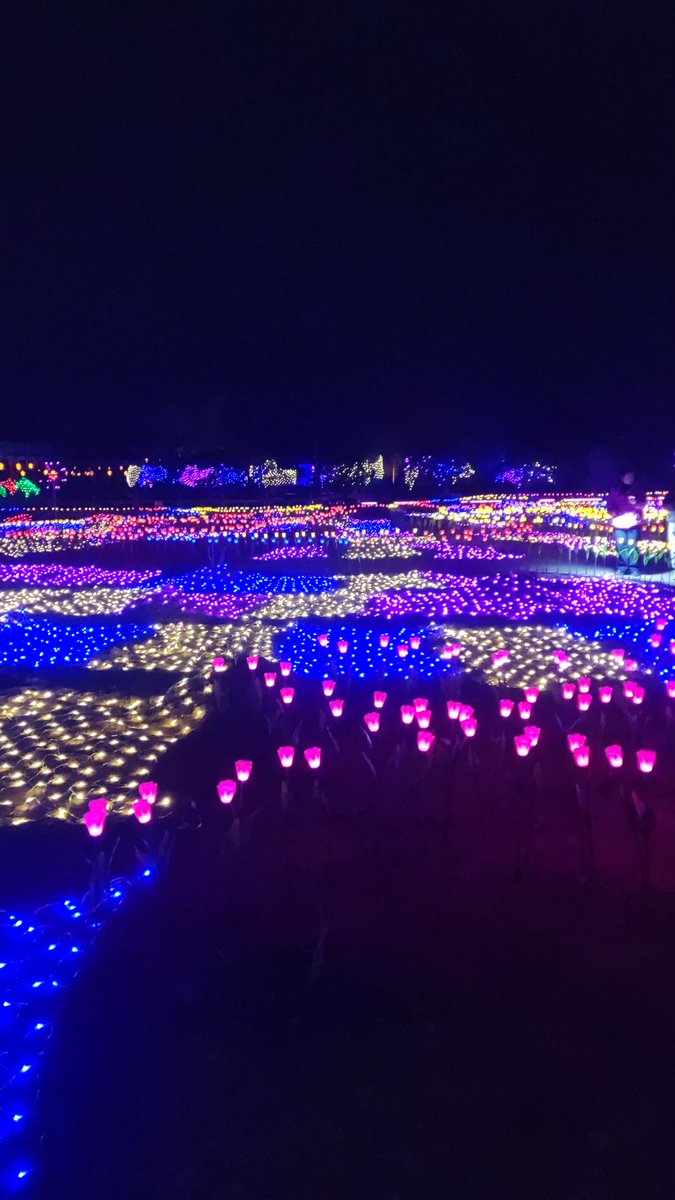 Italo Fernandes tweet media