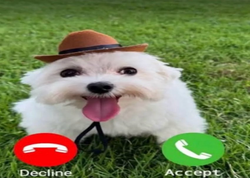 Сlouеth tweet media