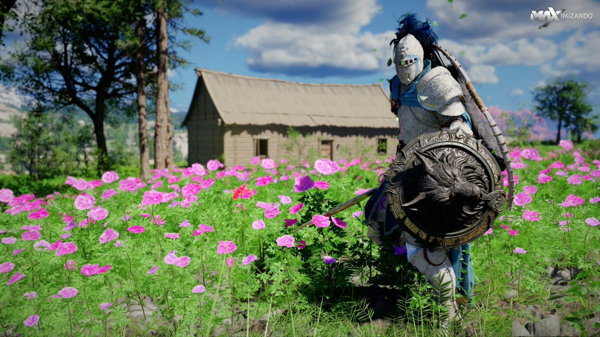 M4Ximizando tweet media