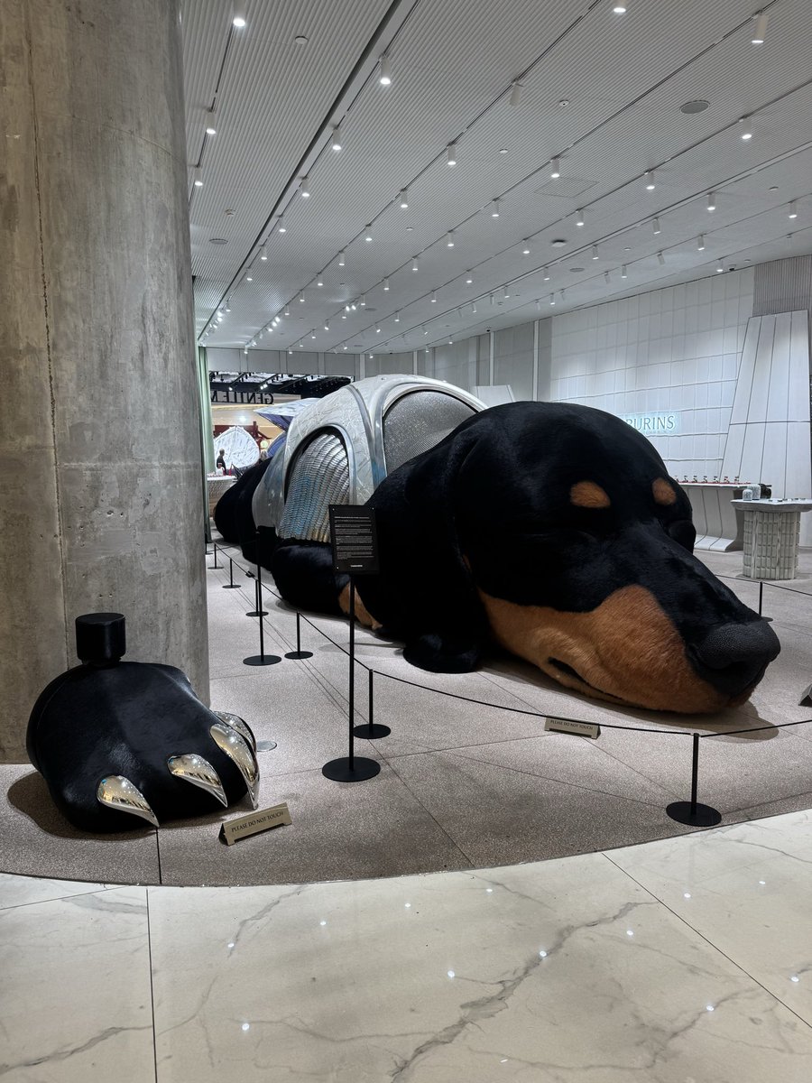 seilly jehosua tweet media