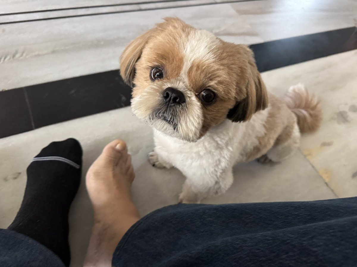 🅳🅳 tweet media