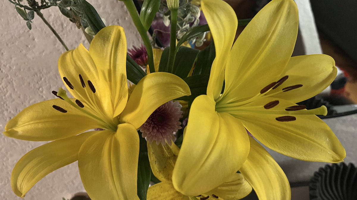 rechi .𖥔 ݁ ˖ tweet media