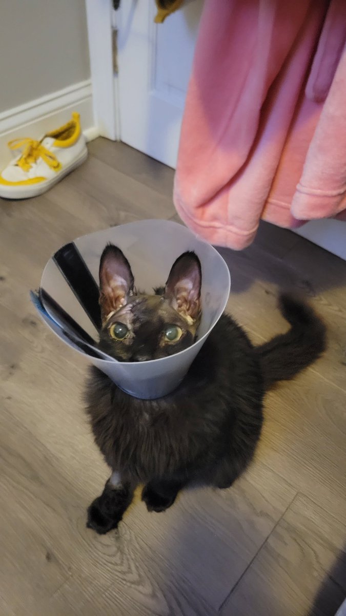 ACAB 🖤 AUD tweet media