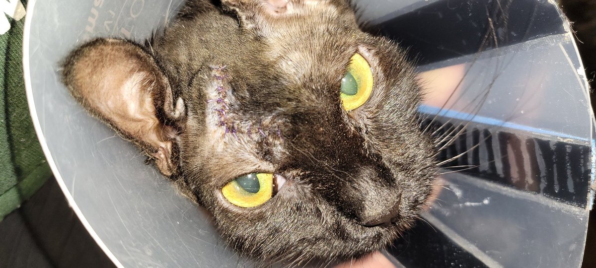 ACAB 🖤 AUD tweet media