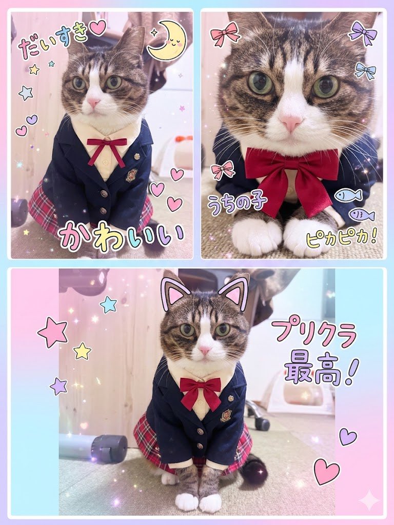 gossithecat's tweet photo. ㅋㅋㅋ https://t.co/moU9Av8waw